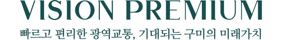 VISION PREMIUM 빠르고 편리한 광역교통, 기대되는 구미의 미래가치